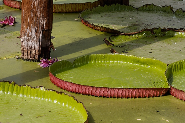 Muang Boran-2008-002